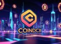 CoinDCX heist