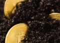 Bitcoin mining rigs in a dimly lit facility, highlighting the impact of financial losses.
