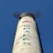 A SpaceX rocket with Cursor AI logo in the background signifies a major financial partnership.