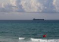Cargo ships navigating through the Strait of Hormuz, flags raised, under strict Iranian regulations.