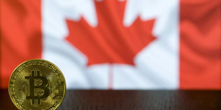 A graphic showing a digital currency symbol with a blurred Canadian flag in the background.